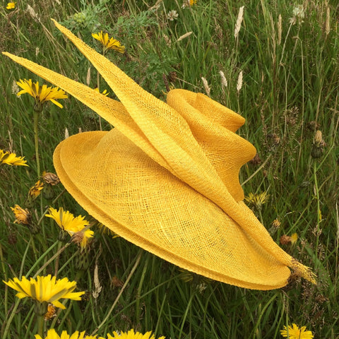 Online & Live | Swirled Sinamay-for all levels